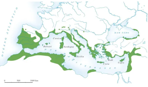 Figura 2. Diffusione della pianta Olea europaea L. nel bacino del Mediterraneo. 