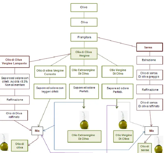 Figura 4. Illustrazione delle diverse tipologie di olio e del loro ottenimento. 