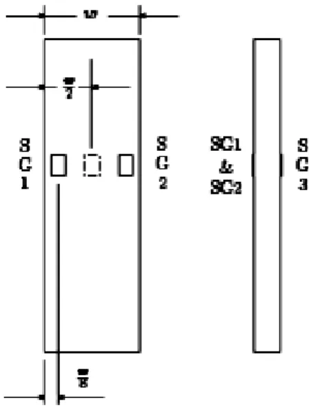 Figura 4.4 : Posizionamento estensimetri 