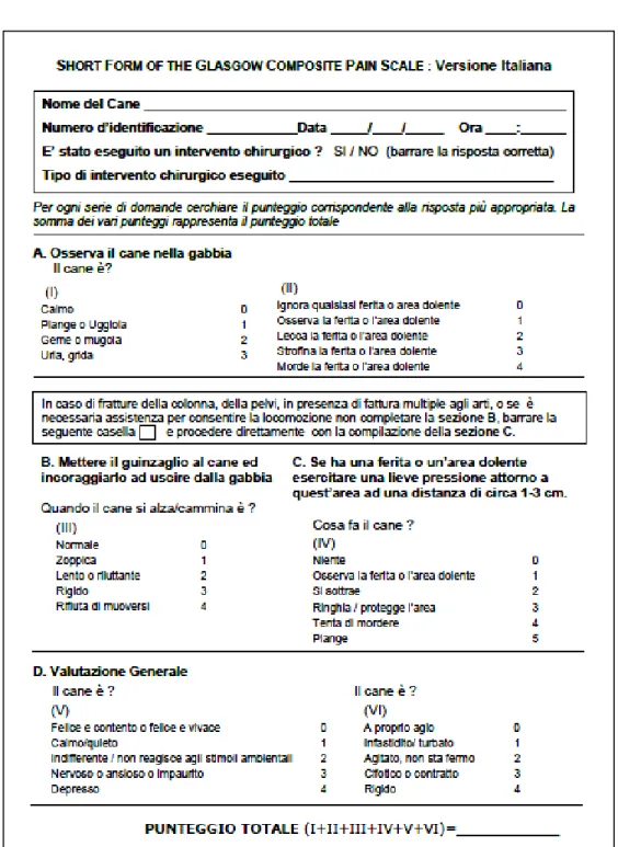 Fig 1.3: scala della valutazione del dolore Glasgow. 