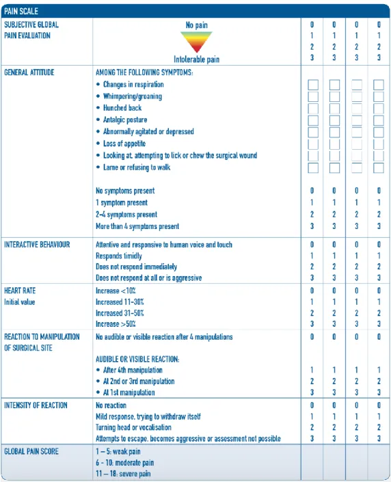 Fig. 1.4: scala della valutazione del dolore 4avet. 