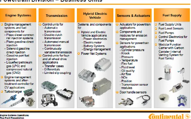 Figura 9: Business Units della divisione Powertrain (Engine Systems Operations Pisa Plant Presentation)