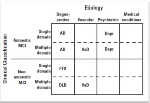 Figura 7. Classificazione dei sottotipi clinici di MCI con le rispettive presunte eziologie [da Petersen, 2008]