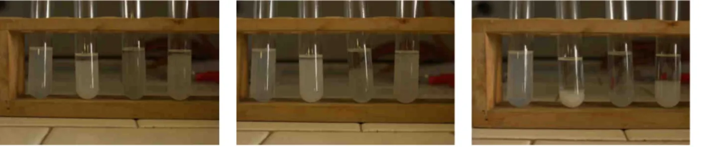 Figura 17 Dispersioni di Org-CNWs in DMF, THF, Toluene e cloroformio (da destra verso sinistra);               a)  subito dopo la dispersione, b) dopo 1 h e c) dopo 2h.