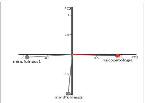 Figura 4. Loading delle componenti Psicopatologia, Mindfulness1 e Mindfulness2 nello  spazio individuato dalla PCA globale