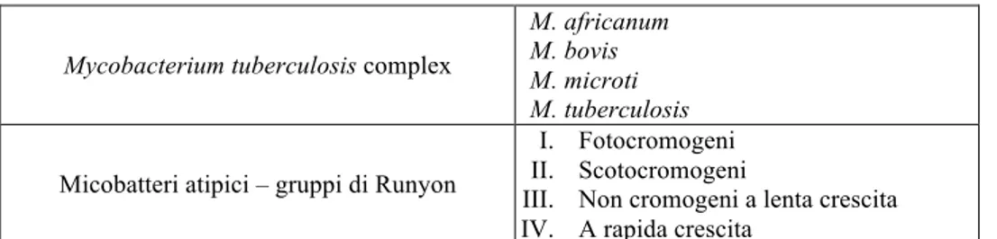 Tabella 1. Classificazione dei micobatteri patogeni (Bergey’s Manual), da Zavanella (2012), modificato