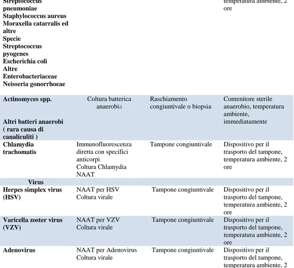 Tabella VI.  Diagnosi di infezione delle strutture perioculari / congiuntiviti, celluliti  periorbitali ed orbitali, infezioni delle palpebre e lacrimali