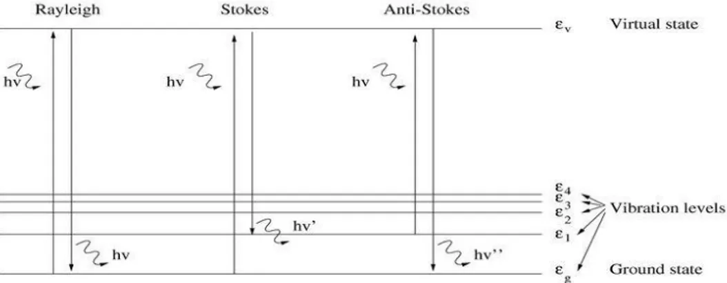 Figura  1:   assorbimento  e  riemissione  di  fotoni  nell'effetto  Raman.  Rayleigh:  diffusione  elastica,  Stocke  e  Anti- Anti-Stockes: diffusione anaelastica