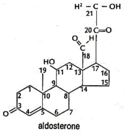 Figura 1. Struttura dell’aldosterone (11β, 21-diidrossi-3, 20- diossopregn-4-en-18-ale) 