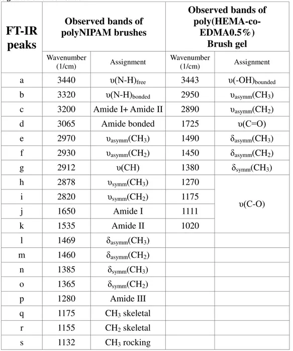 Table  4.  3:  table  for  typical  FT-IR  peaks  of  poly(NIPAM)  and  poly(HEMA-co-EDMA0.5%mol)  brushes grafted on silicon oxide