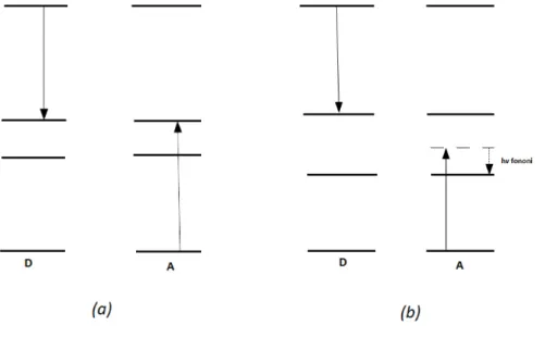 Figura 2.6: Cross-Relaxation risonate (a) e Cross-Relaxation non risonante (b)