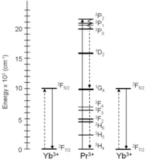 Figura 4.4: Schema di Pompaggio del livello 3 P 2 del Pr 3+ da cui segue il fenomeno di Downconversion