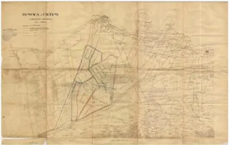 Fig 11 -  Mappa dell'intervento di bonifica del 1920