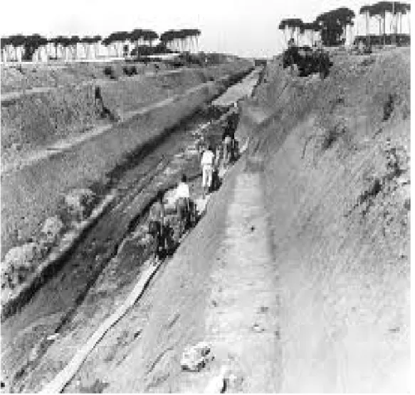 Fig 12- Immagini storiche dell'intervento di bonifica del 1920 di Coltano