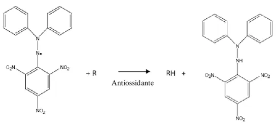 Figura 39. Riduzione del DPPH •