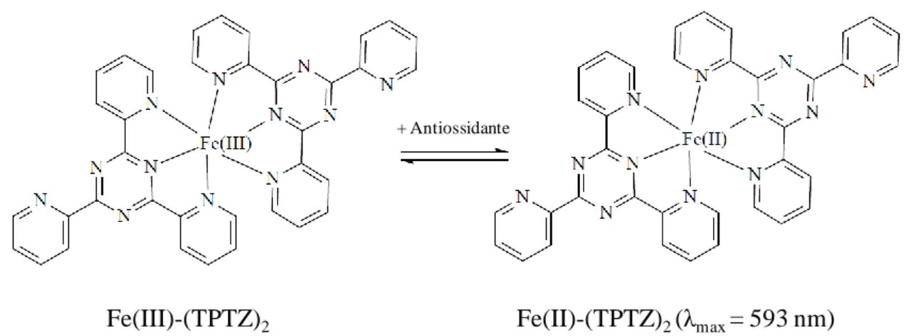Figura 40. Riduzione del complesso ferrico Fe(III)-(TPTZ) 2  al complesso ferroso   Fe(II)-(TPTZ) 2