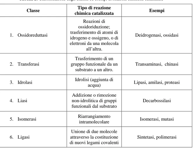 Tabella 2: Classificazione degli enzimi ed esempi di reazioni chimiche catalizzate  Classe  Tipo di reazione 