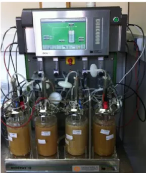 Figura 9: Fermentatori in scala da 1 litro utilizzati per la prova (Biostat Q) 