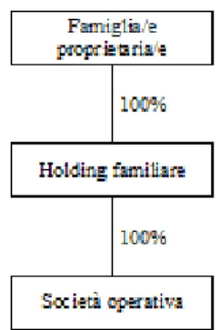 Figura 5  I “quasi-gruppi” di imprese familiari 