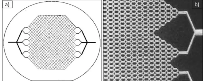 Figura  2.9:  a)  Rappresentazione  schematica  della  rete  di  canali  microfluidici  fabbricata  sul  silicio  con  tecniche  di  micromachining;  b)  Immagine ottica di una porzione della rete di microcanali, da Vacanti et  al