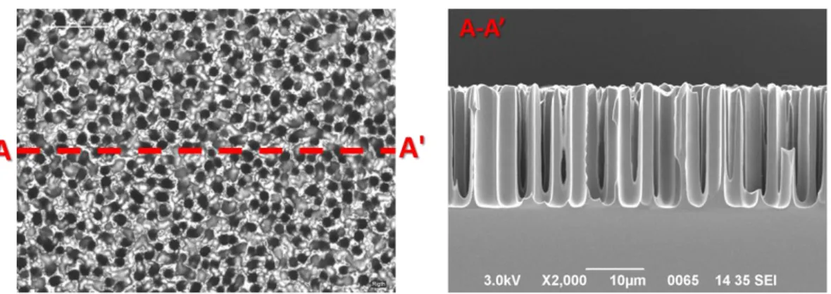 Figura 3.4: Macropori random realizzati mediante micromachining elettrochimico del Si-n in soluzioni  a base di HF