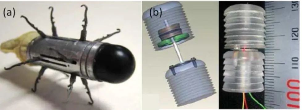 Fig. 18: a) Capsula autonoma con zampe per il colon, b) capsula bio-ispirata 