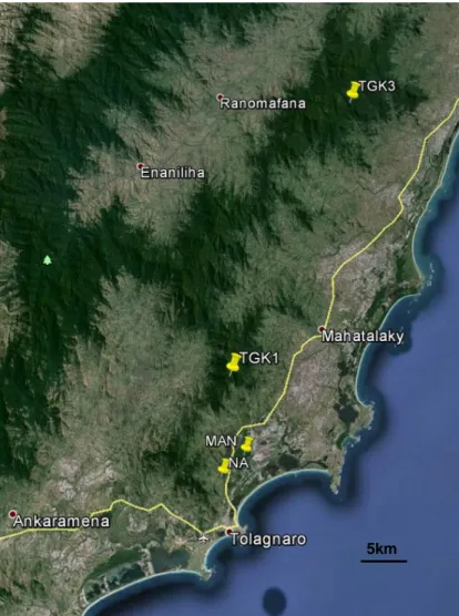 Figura 13 Cartina che mostra, con i segnaposto gialli, le aree di campionamento; Na = Nahampoana,  Man = Mandena, TGK1= Tsitongambarika-1; TGK3=Tsitongambarika-3; (Google Earth)