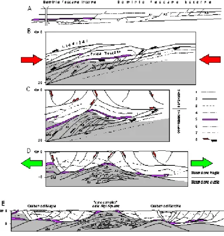 Figura 2.3: Schema dell’evoluzione tettonica compressiva (A, B,C)  e distensiva(D,E) delle Alpi Apuane; 