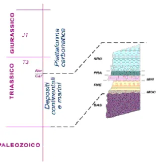Figura 2.4: Colonna litostratigrafica dell’Unità di Massa. Basamento ercinico (BAS); Metaconglomerati  basali (MGC); Filladi nere e quarziti (FNE); Marmi a Crinoidi e metabrecce a elementi marmorei (MNI); 