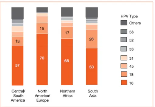 Figura 3: Prevalenza (%) dei differenti tipi cancerogeni di HPV fra le donne nelle varie aree geografiche