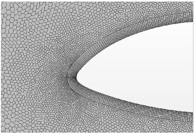 Figura  2.5    Particolare della mesh sul bordo d’attacco del profilo di radice dell’ala