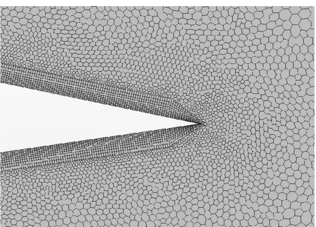 Figura  2.6    Particolare della mesh sul bordo d’uscita del profilo di radice dell’ala.