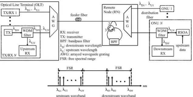 Fig. 1-3.Architettura di una WDM-PON con self-seeded RSOA modulato direttamente come trasmettitore  upstream [5] 