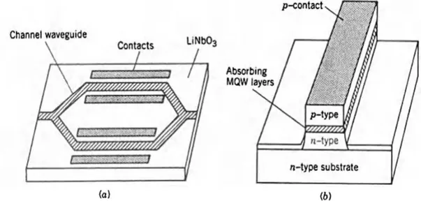 Fig.  2-2.Due  tipologie  di  modulatori  esterni:  modulatore  Mach-Zehnder  al  Niobato  di  Litio  (a),  modulatore  a semiconduttore basato sull’ elettroassorbimento (b) [12]