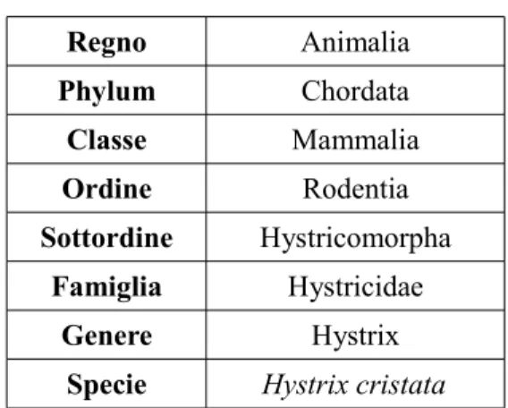 Tabella 2: classificazione tassonomica dell'istrice Regno Animalia Phylum Chordata Classe Mammalia Ordine Rodentia Sottordine Hystricomorpha Famiglia Hystricidae Genere Hystrix
