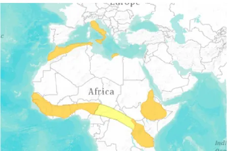 Figura 6: distribuzione di Hystrix cristata nel mondo. IUCN 2014. Il giallo più chiaro rappresenta la zona di simpatria con Hystrix africaeaustralis