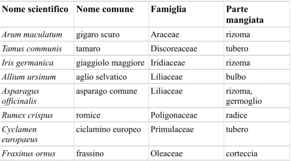 Tabella 4: elenco delle piante spontanee più comunemente mangiate da Hystrix cristata  (Santini, 1980)