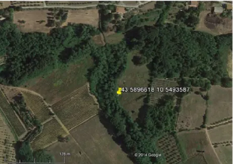 Figura 16: Localizzazione della prima buca di rilascio dell' istrice avvenuta in data 09/09/2012 a Crespina (PI)