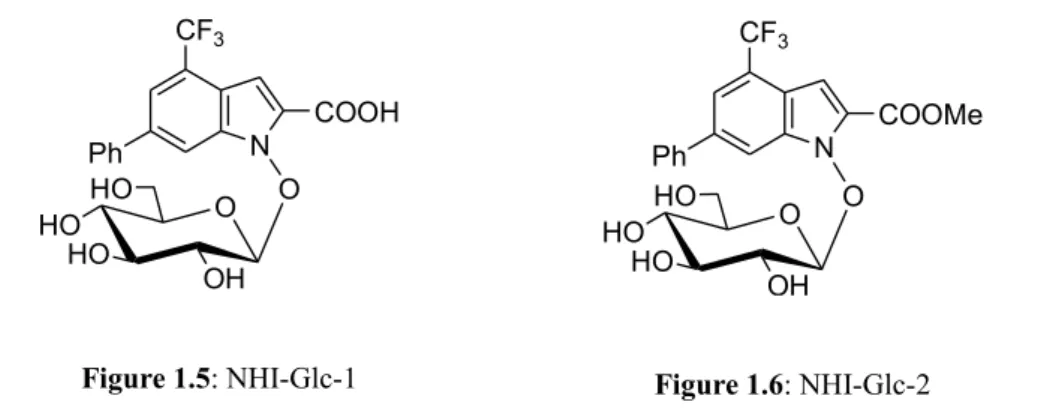 Figure 1.2: Dual targeting of the Warburg effect by glucose conjugated  LDH-A inhibitor
