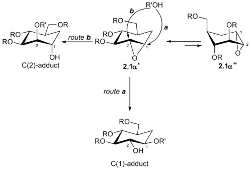 Figure 2.2: Carbapyranose 1,2-epoxide precursor of  pseudosaccharide 2.3.HOOHOHHOONu HO OHHO O2.22.3OROHOR'ROROROROORO 1 2ROORORO21RORORO21OR'OHroute aroute bbR'OHaC(2)-adduct2.1'2.1''C(1)-adduct21