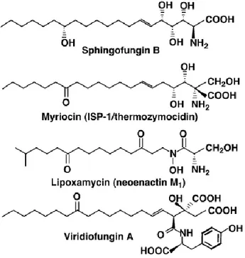 Figure 11.  Structure of  natural  SPT inhibitors. 