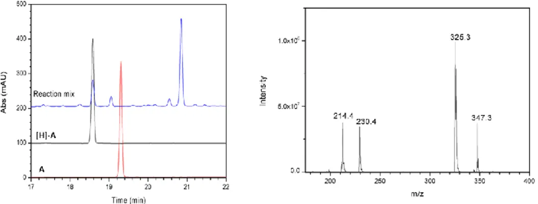 Figure 6: Superimposed UV profiles of LC-MS for the radiolabelling of 7 for reaction  mixture, [H]-A standard and A standard (left)