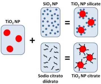 Figura  6: Schema esemplificativo della funzionalizzazione di TiO2  NP con biossido di  silicio e  con sodio citrato diidrato