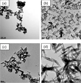 Figura  1:  Esempi  di  forme  diverse  in  nanoparticelle  (ossido  di  rame,  CuO).  Immagini  ottenute  mediante microscopia elettronica a trasmissione di (a) CuO granulare, (b) con forma sferica, (c) con  forma conica e (d) con forma fusiforme