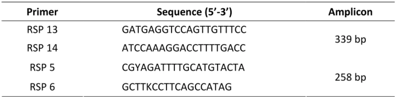 Table 3.  Broad-spectrum primers for the detection of GRSPaV used in this study, 5’-3’ sequences and  amplicon length