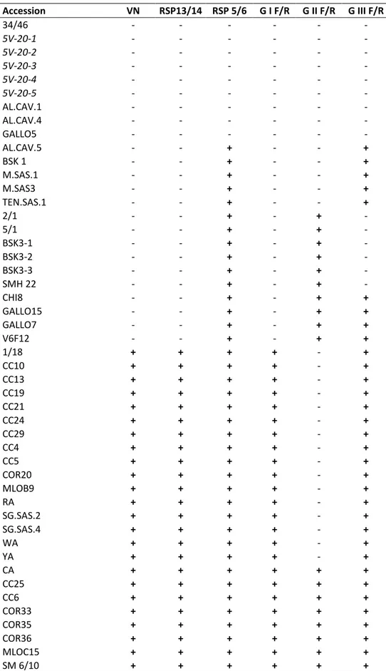 Table  5.    Results  of  RT-PCR  with  each  broad-spectrum  and  group-specific  primer  pair,  combined with previous results from biological indexing for VN (when available)