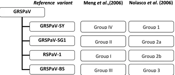 Figure 12. Comparison of the two main nomenclature systems for the classification of GRSPaV  variants  GRSPaV  GRSPaV-SY  GRSPaV-SG1 RSPaV-1 GRSPaV-BS 