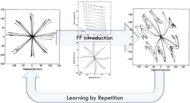 Figure 4: Representation of a typical experiment demonstrating learning by repetition human capa- capa-bilities.