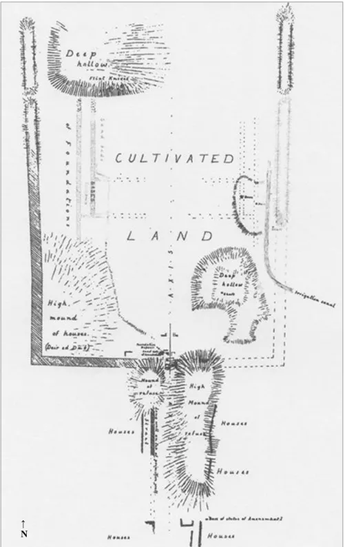 Fig. 3.7: Area del tempio di Sobek-Suchos disegnata da Petrie. 