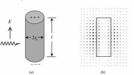 Figure 1.4.5: Schematic view of the structure under study. (a) The subwavelength gold nanorod is embedded in a dielectric, and the incident light is propagating with the electric eld along the rod axis, thus exciting the longitudinal plasmon resonance